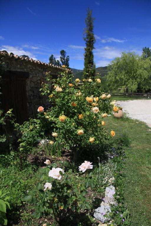 Les Hauts De L'Escoulaou Hotel Castellane Room photo